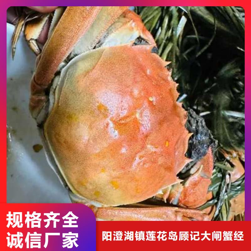 阳澄湖大闸蟹10年品质_可信赖