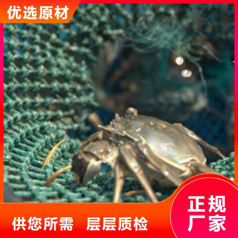 陽澄湖大閘蟹材質