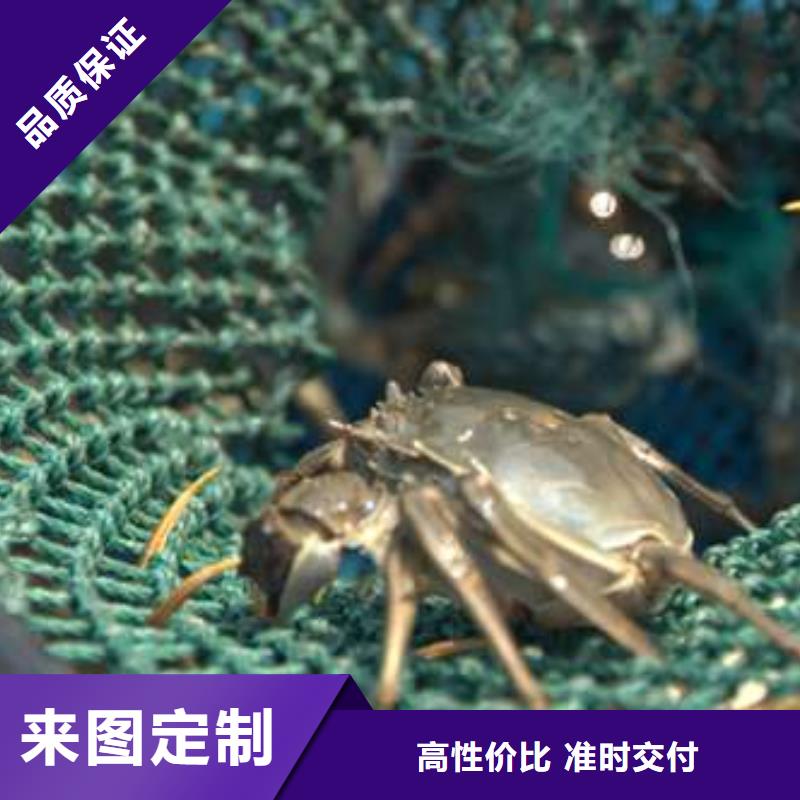 阳澄湖大闸蟹厂家价格优势