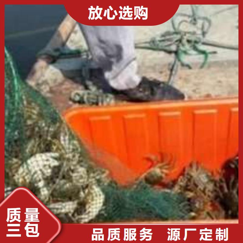 陽澄湖大閘蟹生產(chǎn)直銷