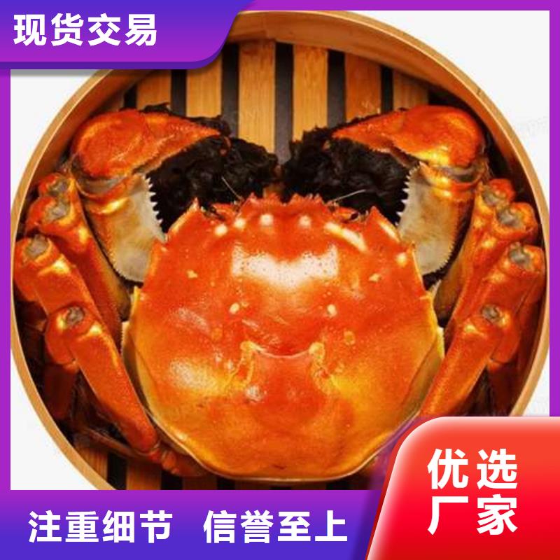 【圖】陽澄湖大閘蟹批發