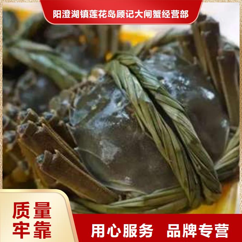 【圖】陽澄湖大閘蟹批發