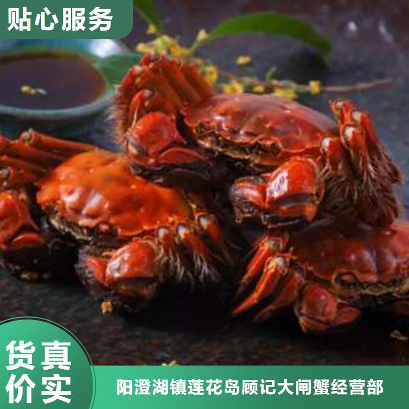 阳澄湖大闸蟹制造商