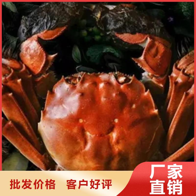 汕尾市正宗陽澄湖大閘蟹禮盒團購