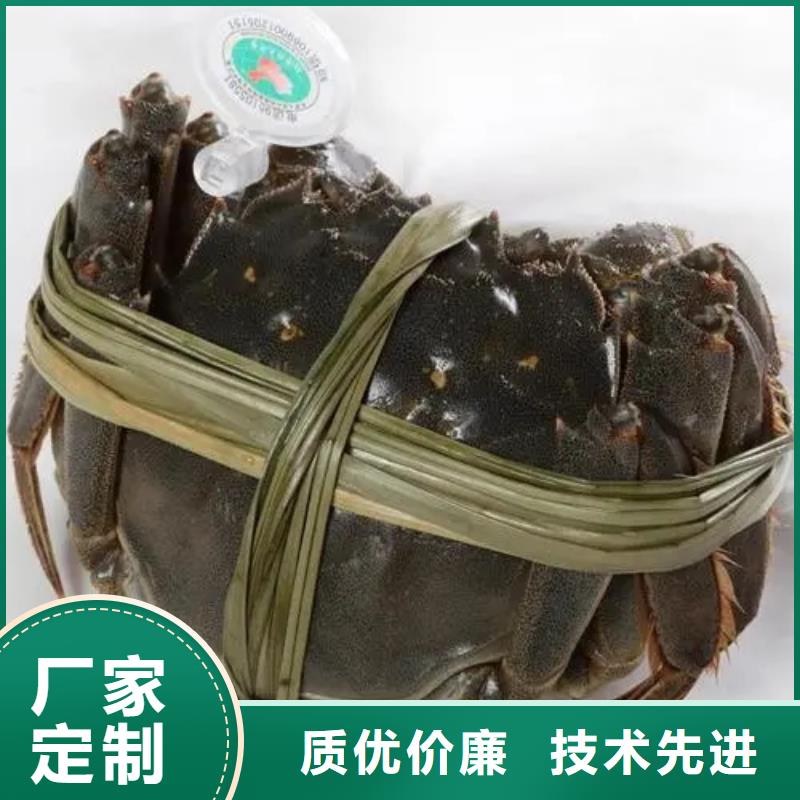 阳澄湖大闸蟹新品正品