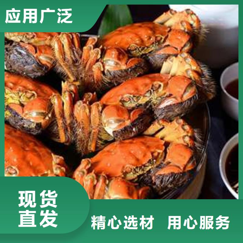 供應(yīng)陽(yáng)澄湖大閘蟹_生產(chǎn)廠家