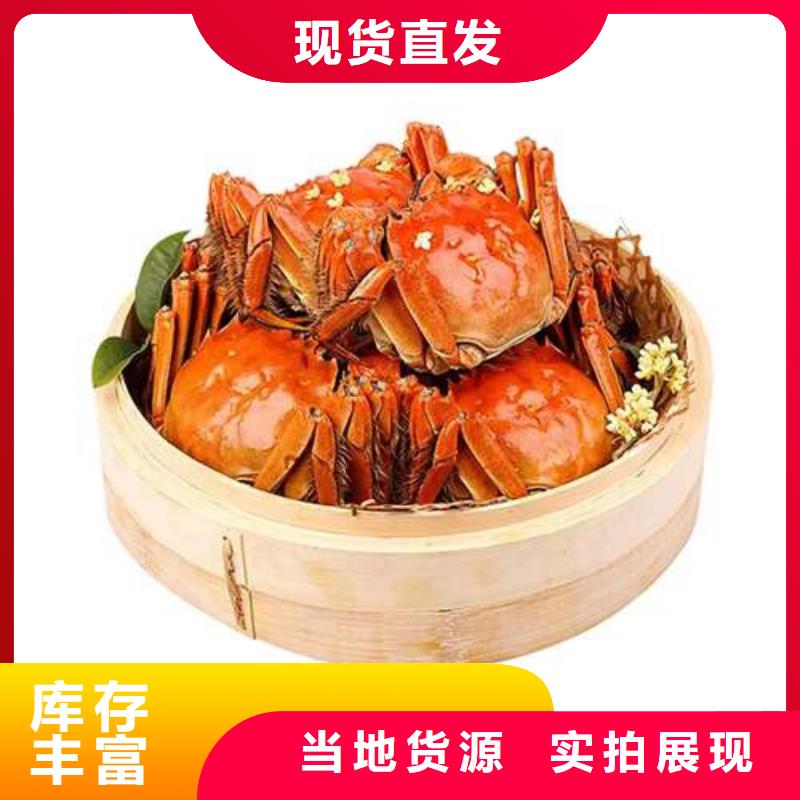 陽澄湖大閘蟹品牌廠家-買著放心