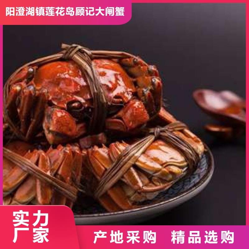 陽澄湖大閘蟹就選陽澄湖鎮蓮花島顧記大閘蟹經營部