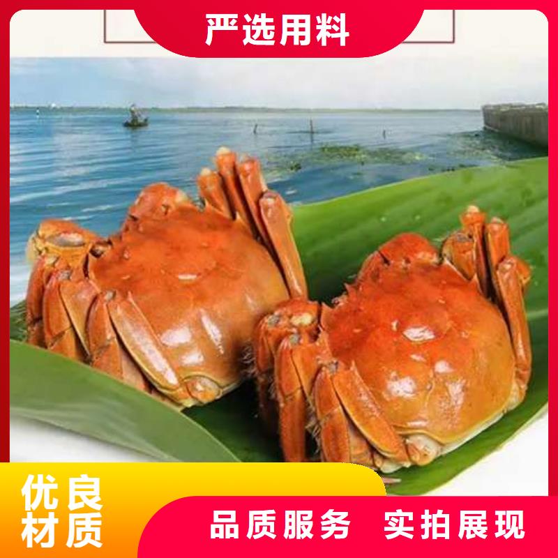 潮州市陽澄湖大閘蟹禮盒