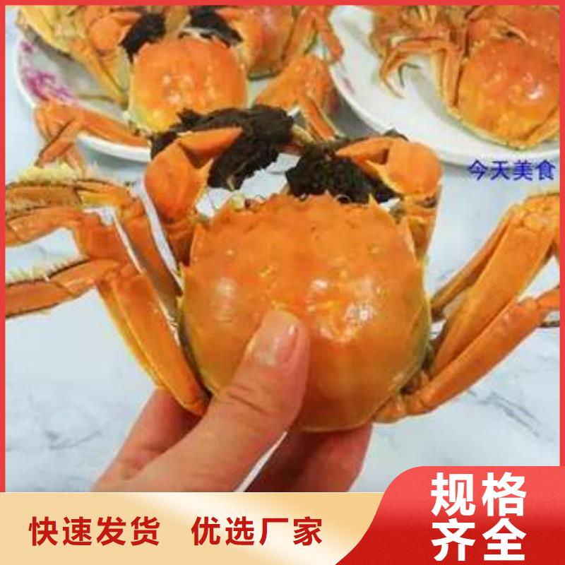 汕尾市南方大螃蟹團購價格