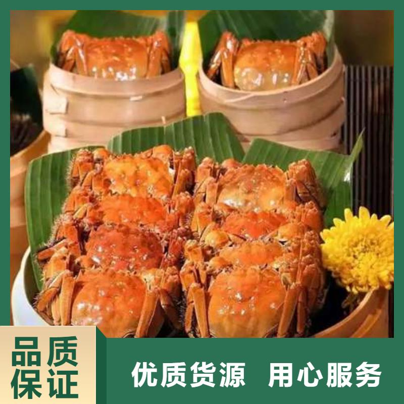 河源市紅膏大閘蟹陽澄湖原產地