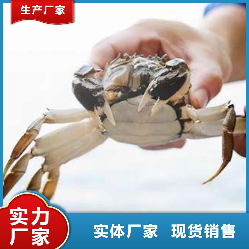 靠譜的陽澄湖大閘蟹廠家