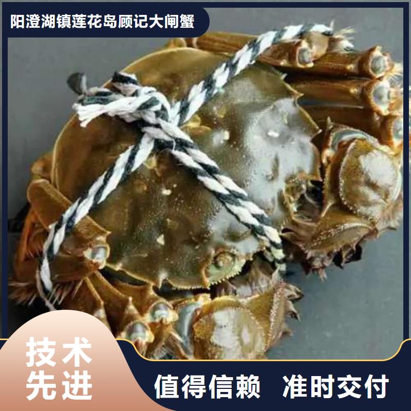 潮州市南方大閘蟹價格多少錢一只