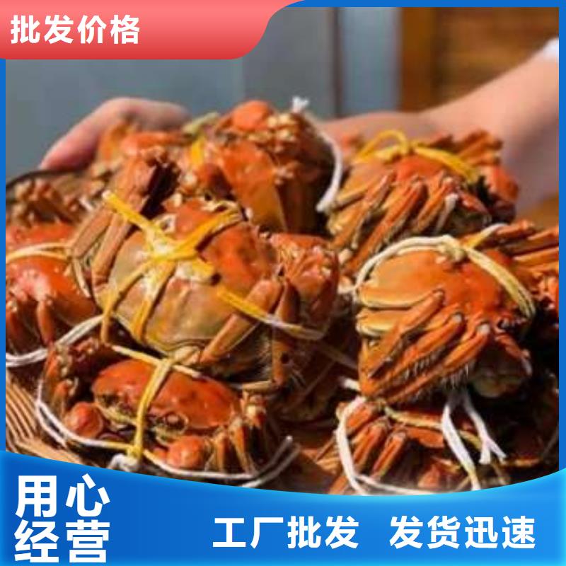陽澄湖大閘蟹應用廣泛