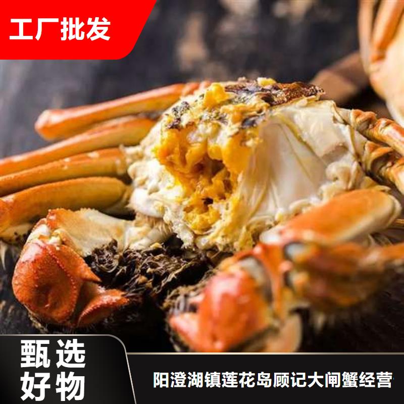 陽澄湖大閘蟹規格齊全的廠家