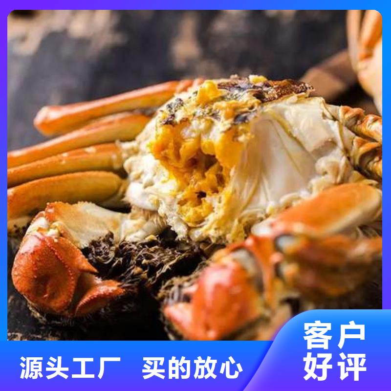 找陽澄湖大閘蟹【無中間商】