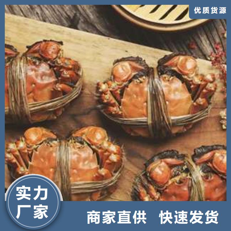 陽(yáng)澄湖大閘蟹物美價(jià)廉廠家