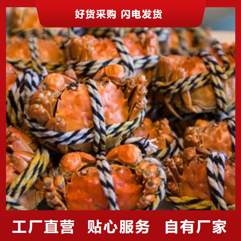 陽(yáng)澄湖大閘蟹物美價(jià)廉廠家