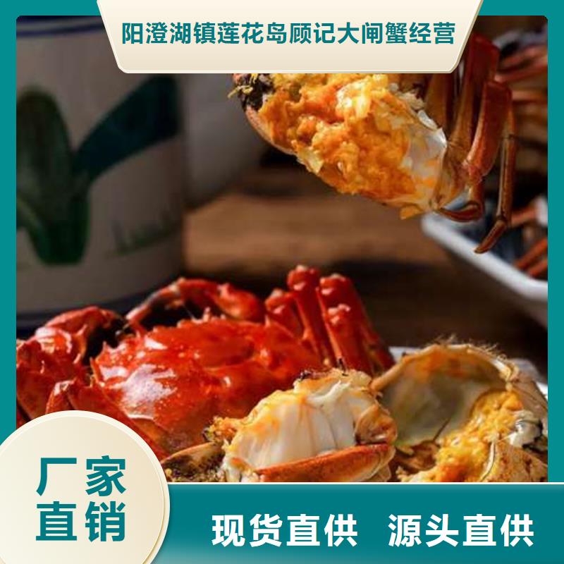 現(xiàn)貨供應(yīng)陽澄湖大閘蟹的廠家