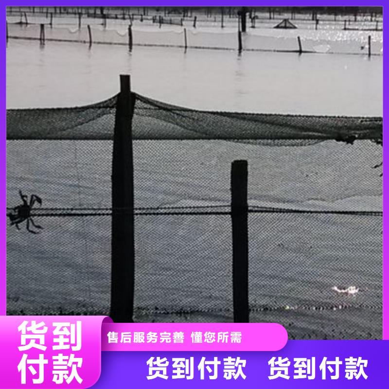 潮州市大閘蟹價格行情