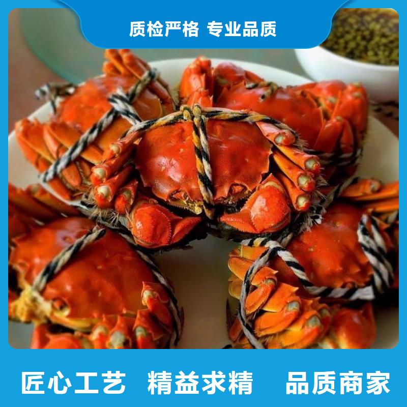#陽澄湖大閘蟹#供應商