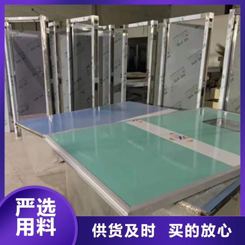 射線防護(hù)子母門原廠