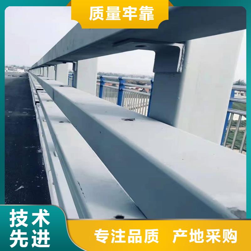 橋梁防撞護欄-城市景觀防護欄經(jīng)久耐用