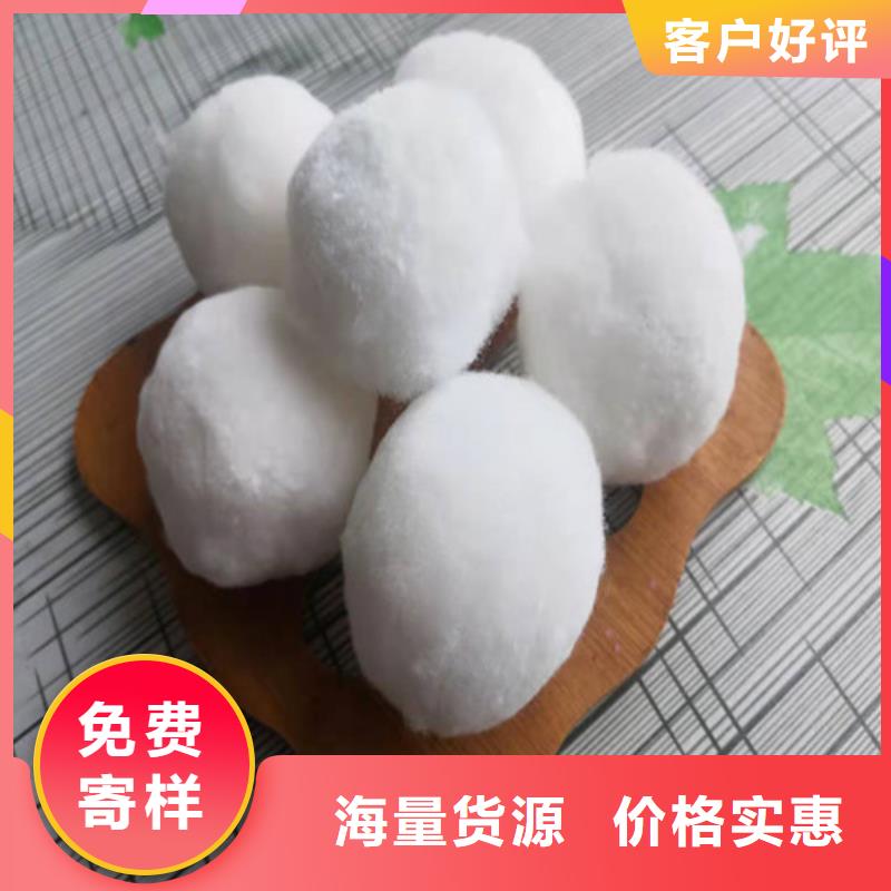 水處理填料煤質(zhì)原生碳實(shí)體廠家