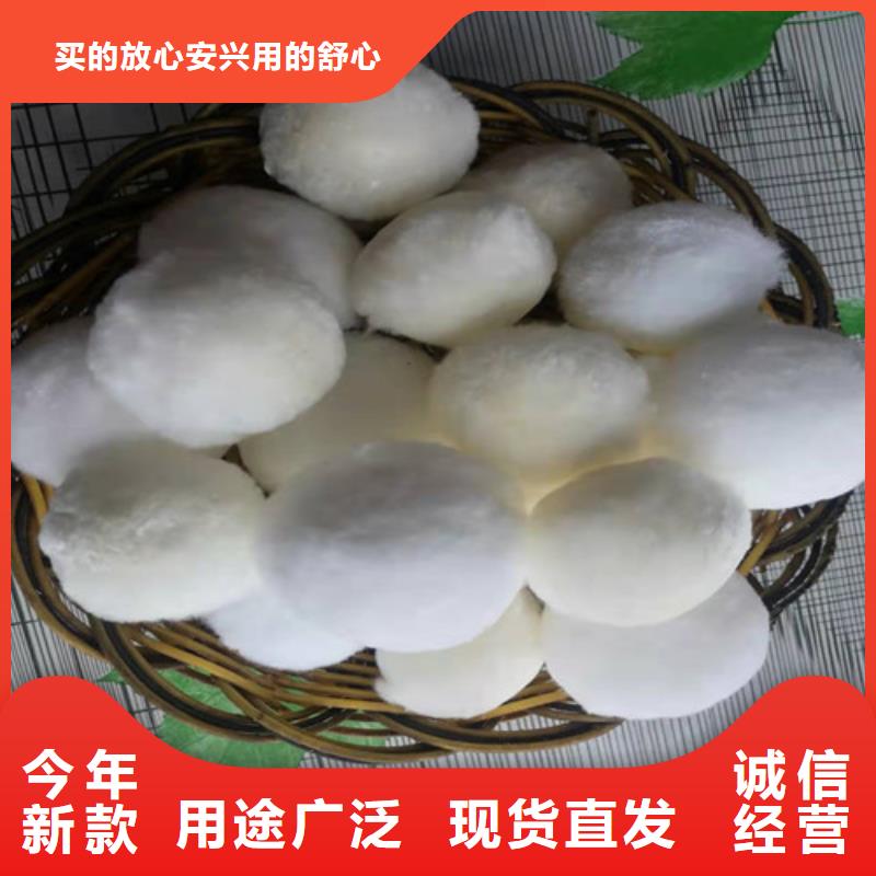 水處理填料【食品級硅藻土】種類多質(zhì)量好