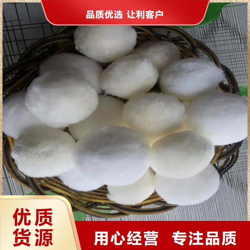 【水處理填料】粉末活性炭買的放心