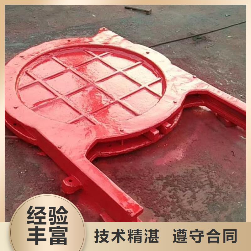 厂家采购(瑞鑫)3.5米*4.5米铸铁闸门定制批发