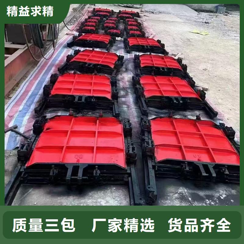 機門一體鑄鐵閘門廠家