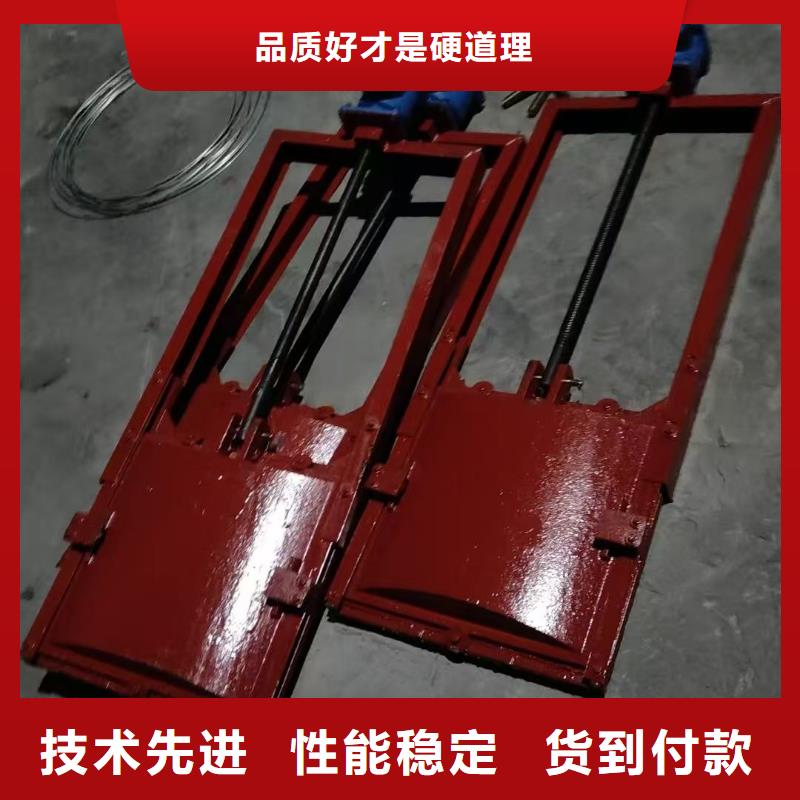 啟閉機閘門-景觀鑄鐵閘門經(jīng)驗豐富