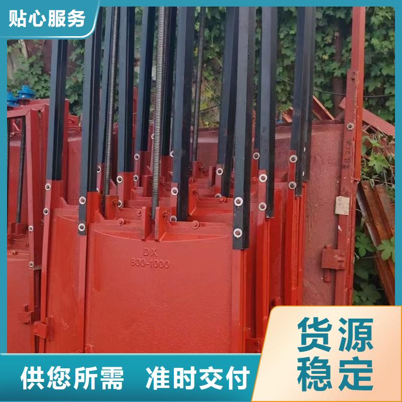 铸铁镶铜闸门-闸门启闭器高效创新