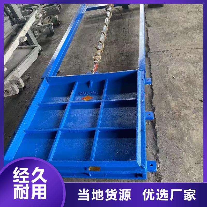 铸铁闸门-水电站闸门经验丰富