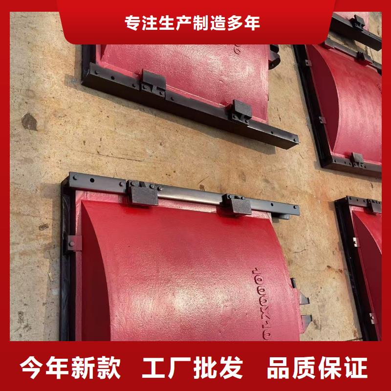 启闭机闸门-铸铁双向止水闸门智能