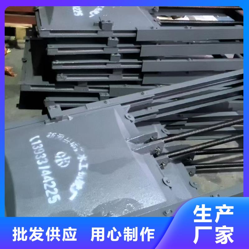 鑄鐵鑲銅閘門-啟閉機高壓鑄鐵閘門經(jīng)久耐用