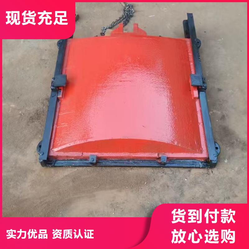 賣鑄鐵鑲銅閘門的廠家