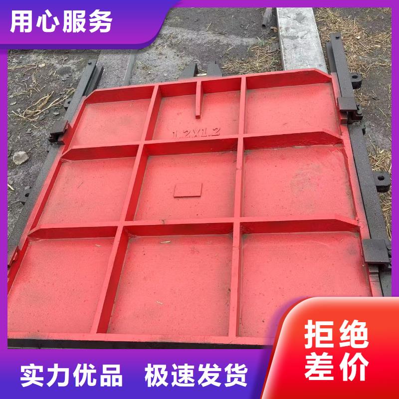 闸门启闭机-双向止水铸铁镶铜闸门自动化