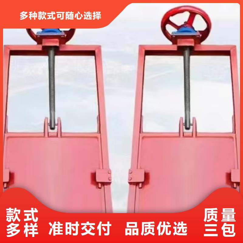 启闭机闸门-平面钢闸门防腐钢制闸门售后无忧