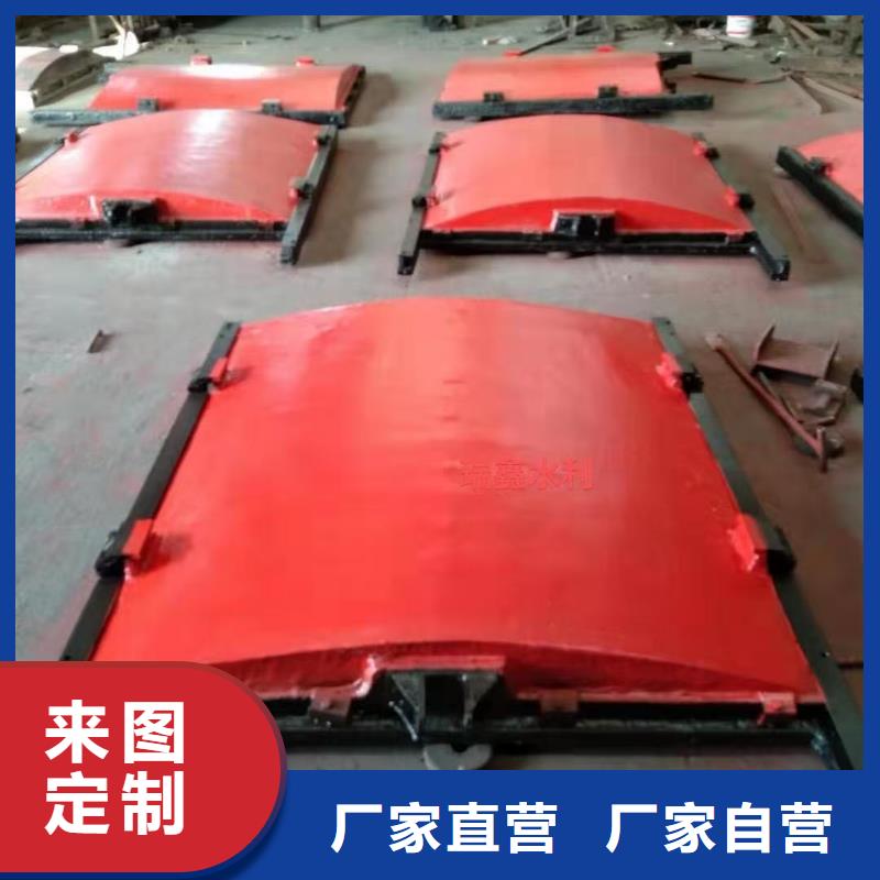 临高县平面拱形闸门-水利闸门启闭机售后无忧
