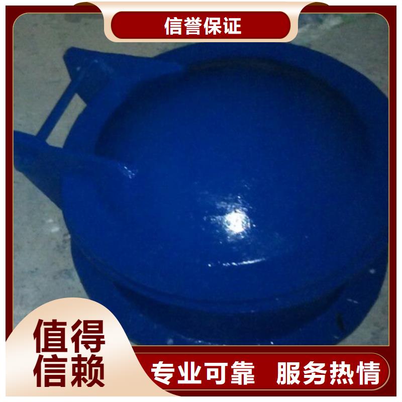 批發(fā)污水處理拍門(mén)_生產(chǎn)廠家