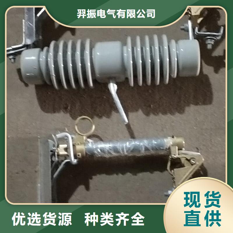 【跌落式熔断器】RW12-10F/200A浙江羿振电气有限公司