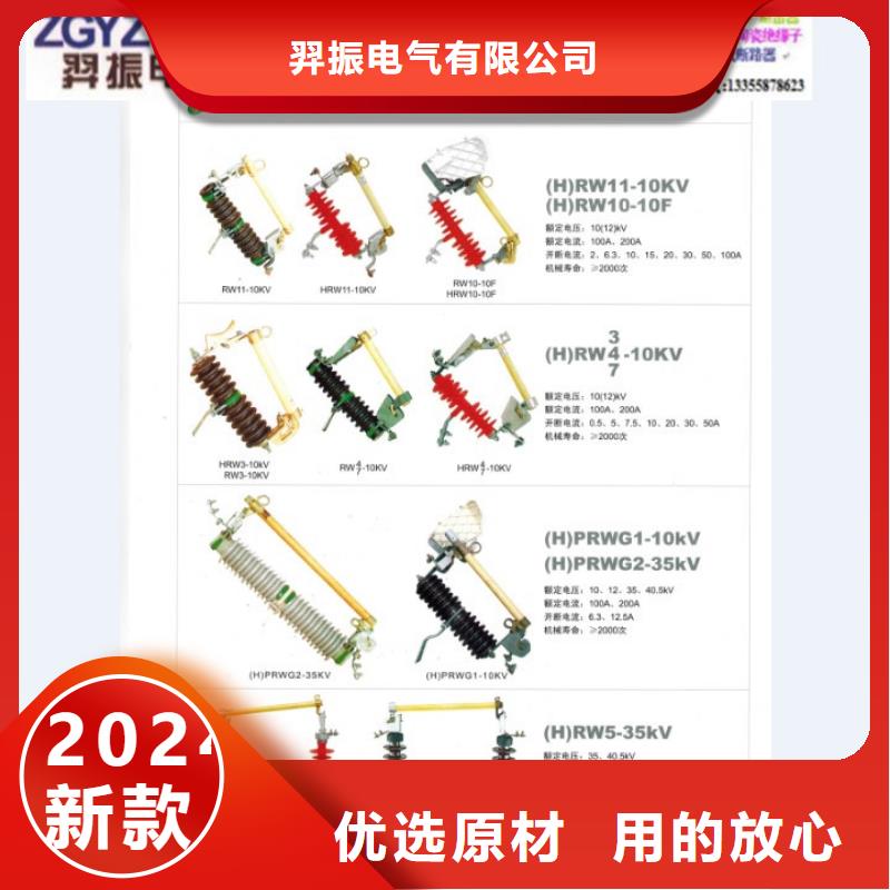 跌落式熔断器RW12-10KV/100A