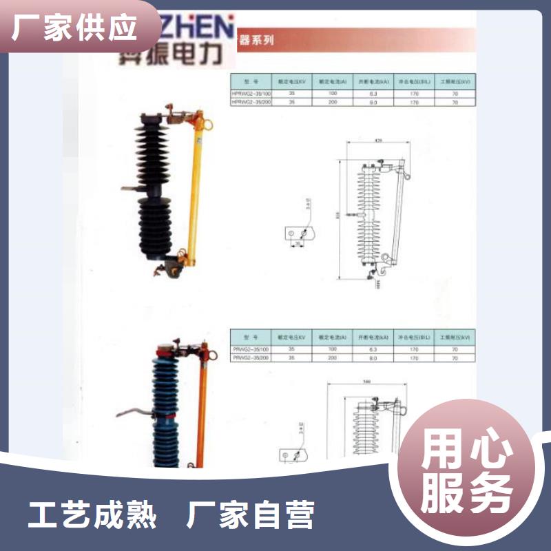 高压熔断器/HPRW12-10KV/100A.