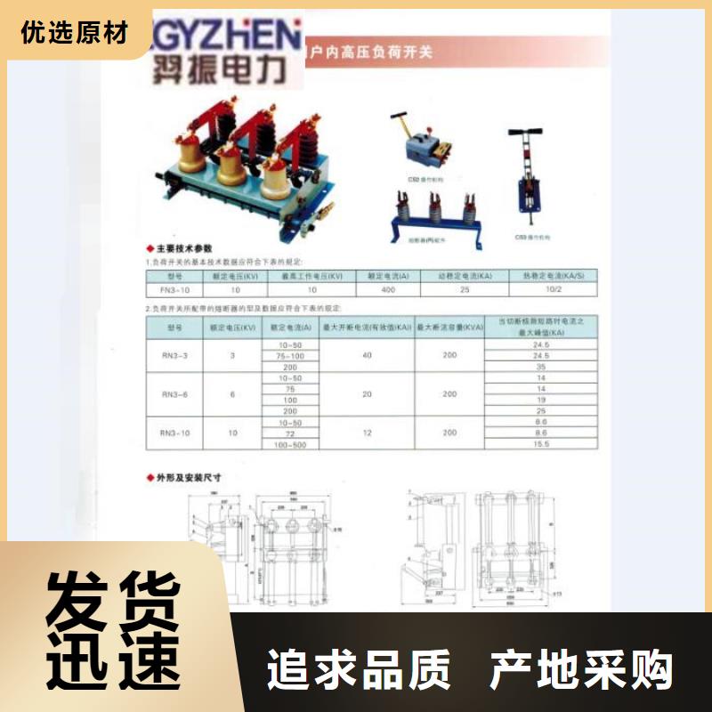 户外高压跌落式熔断器熔丝具RW12-10/100