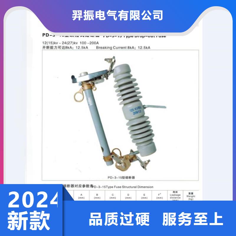 跌落式开关.跌落保险RW-10/100-12.5