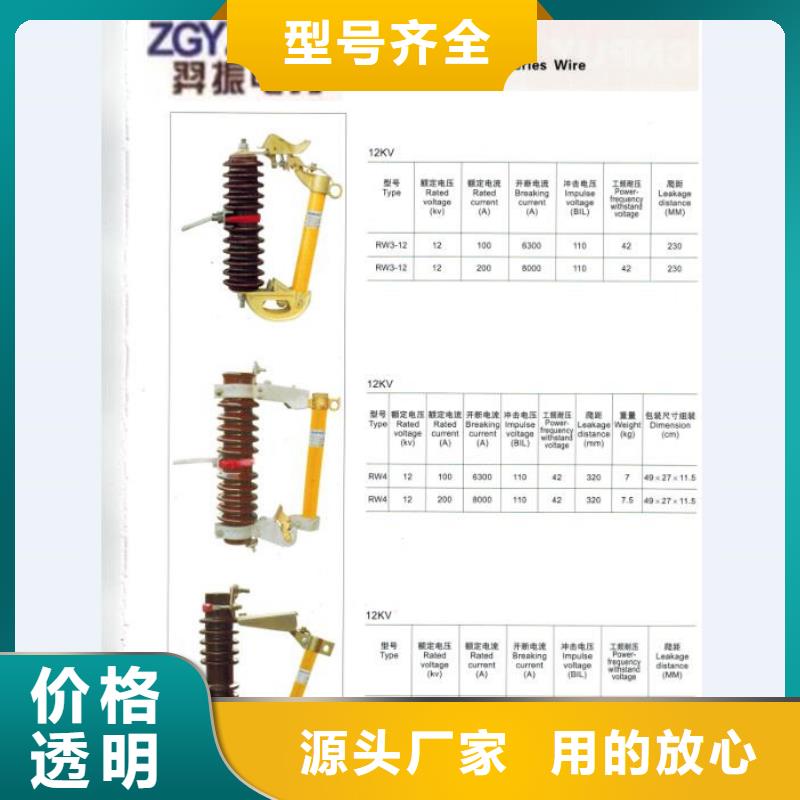 高压熔断器/PRW12-15/100A