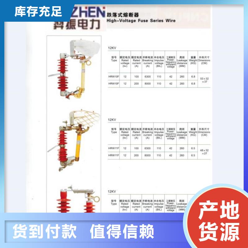 【跌落式熔断器】RW12-12F/200A浙江羿振电气有限公司