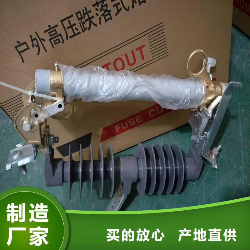 高压熔断器/RW3-63G/100A